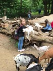 Výlet ZOO Olomouc