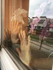 Výtvarné práce na II. stupni během distanční výuky Výtvarné práce na II. stupni během distanční výuky