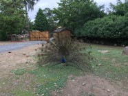 Výlet ZOO Olomouc