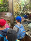 Výlet ZOO Olomouc