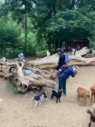 Výlet ZOO Olomouc