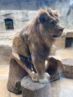 Výlet ZOO Olomouc