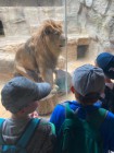 Výlet ZOO Olomouc