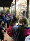 Výlet ZOO Olomouc