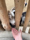 Výlet ZOO Olomouc