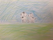 Zvířecí rodiny - Vv