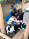 Výlet ZOO Olomouc