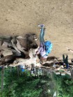 Výlet ZOO Olomouc
