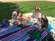 Piknik