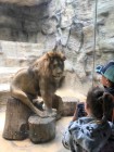 Výlet ZOO Olomouc