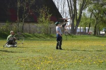 Dravci