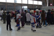 Karneval na ledě Karneval na ledě