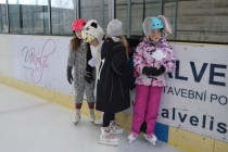 Karneval na ledě Karneval na ledě