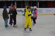 Karneval na ledě