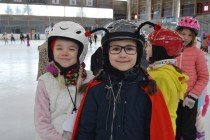 Karneval na ledě
