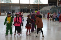 Karneval na ledě