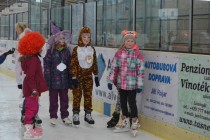 Karneval na ledě