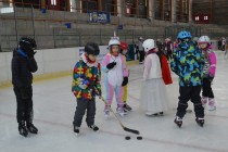 Karneval na ledě Karneval na ledě