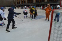 Karneval na ledě