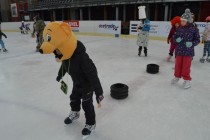 Karneval na ledě