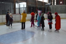 Karneval na ledě Karneval na ledě