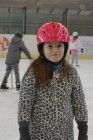 Karneval na ledě Karneval na ledě