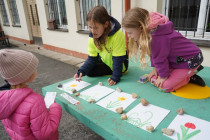 Aktivity ke Dni Země