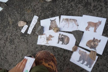 Aktivity ke Dni Země