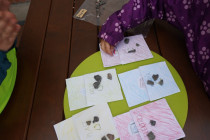 Aktivity ke Dni Země