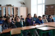 Cesta na vozík