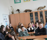 Cesta na vozík