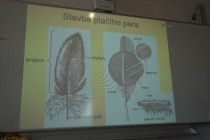 Laboratorní práce v přírodopisu 7. ročníku