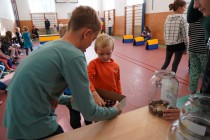 Sportovní dopoledne pro děti mateřských škol