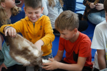 Setkání s myslivkyní