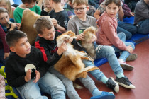 Setkání s myslivkyní