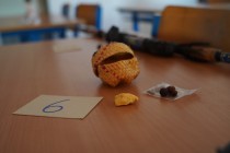Cestování po světadílech