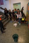 Halloween Halloween