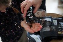 Projektový den Zelený život na modré planetě