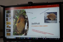 Projektový den Zelený život na modré planetě