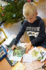 Projektový den Zelený život na modré planetě