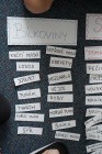 Projektový den Zelený život na modré planetě