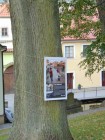 Výstava na stromech
