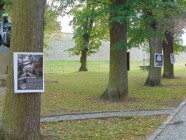 Výstava na stromech