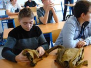 Československá armáda 30. let