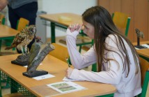 Soutěž v poznávání přírodnin