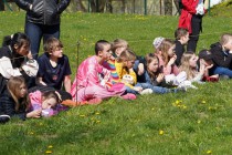 Program o dravcích