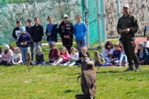 Program o dravcích