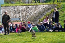 Program o dravcích