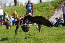 Program o dravcích