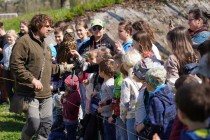 Program o dravcích